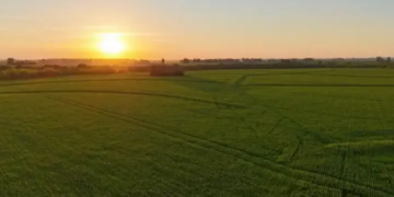El Gobierno restituye la Ley de Tierras tras haberla derogado hace tres años