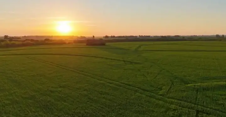 El Gobierno restituye la Ley de Tierras tras haberla derogado hace tres años